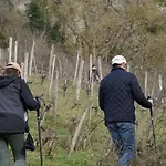Le Relais De Mont 別荘 Faye-d'Anjou
