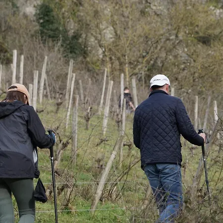 Le Relais De Mont Dom wakacyjny Faye-d'Anjou